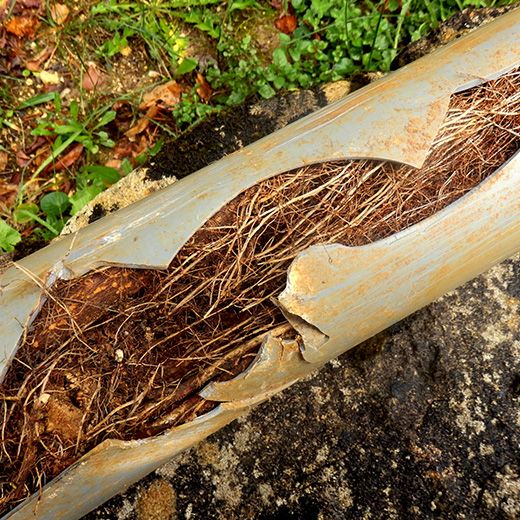 The Drain & Sewer Professionals In Parafield